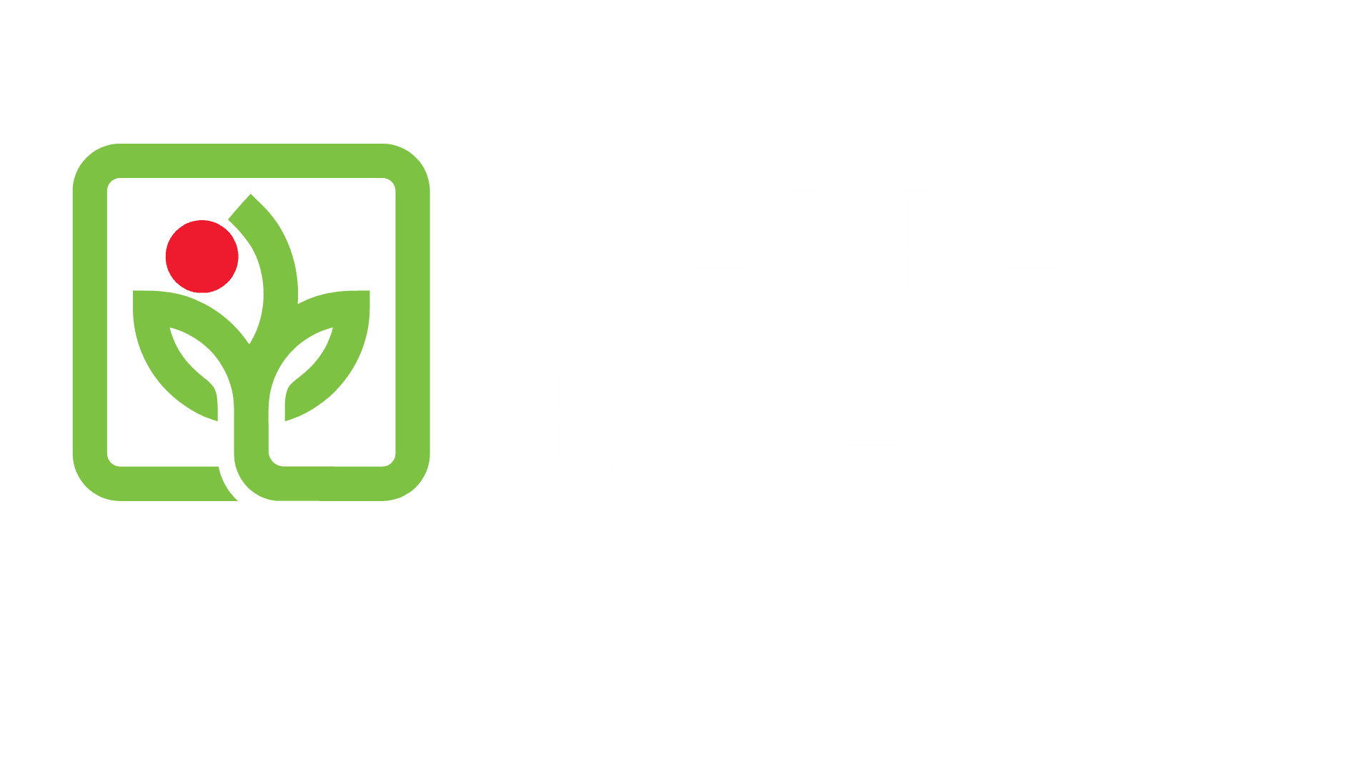 Entreprise paysagiste écologique