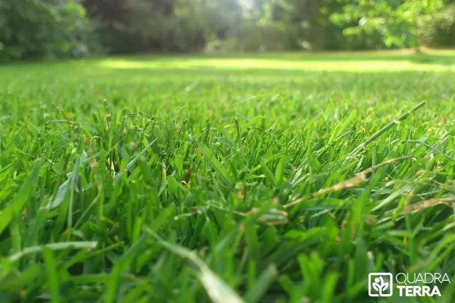 Coût entretien jardin 1000 m2