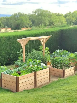 20230712_191652-1024x1024