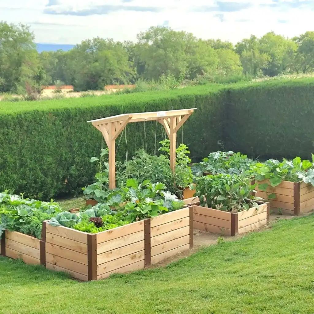 Carré et bacs potagers