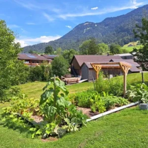 Service-Installation-potager