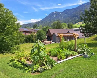 Service-Installation-potager