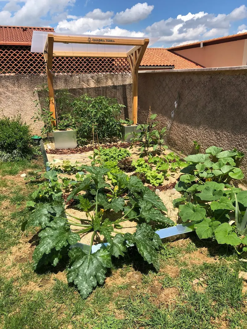installation carre potager