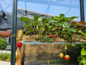 installation serres mise en route