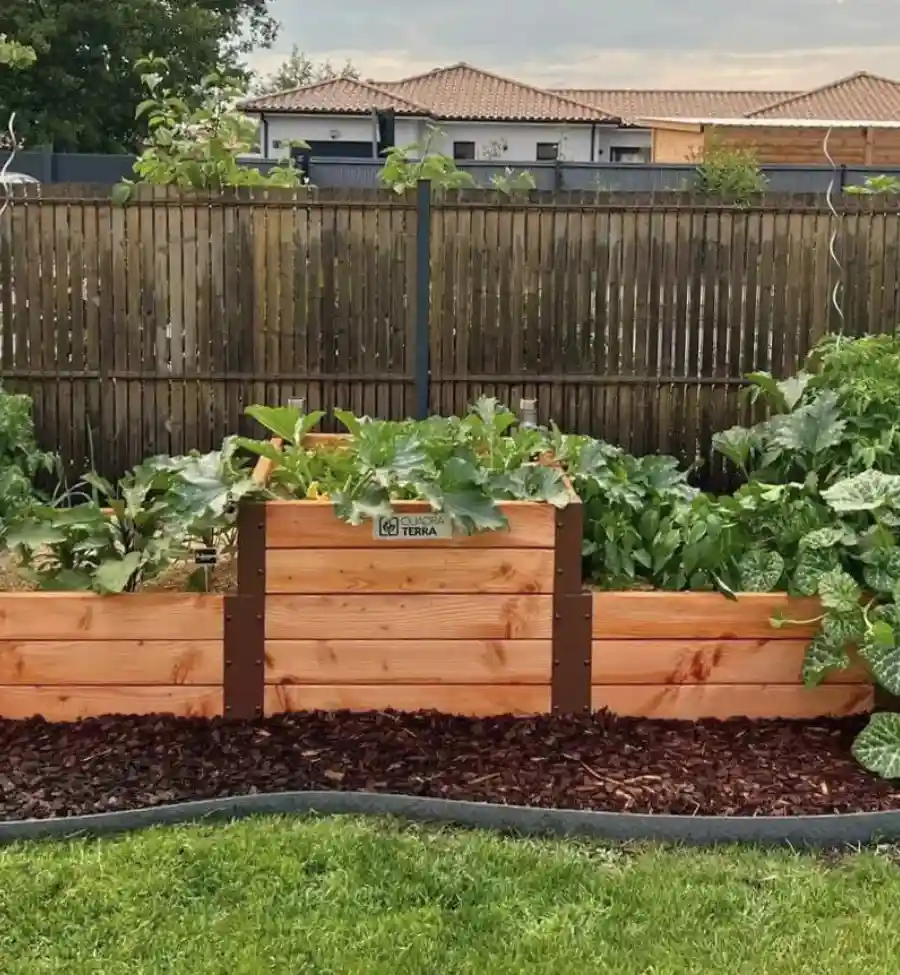 service système de potager
