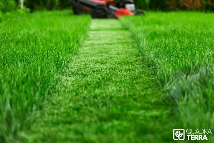 Combien coûte un entretien jardin 92