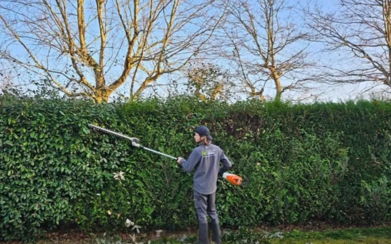 Entretien jardin - crédit d'impôt