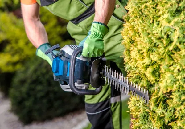 Entretien jardins Sceaux