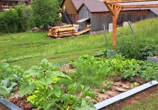 installations potagers Châtillon