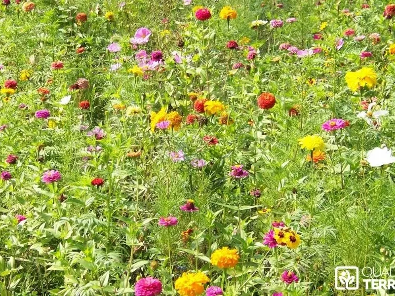 Entretien de jardin : combien ça coûte vraiment dans les Hauts-de-Seine (92) ?