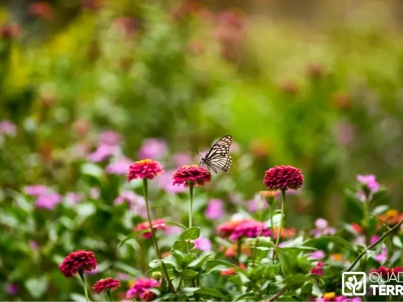 Prix d’entretien d’un grand jardin (500 à 1 000 m²) : combien ça coûte vraiment ?