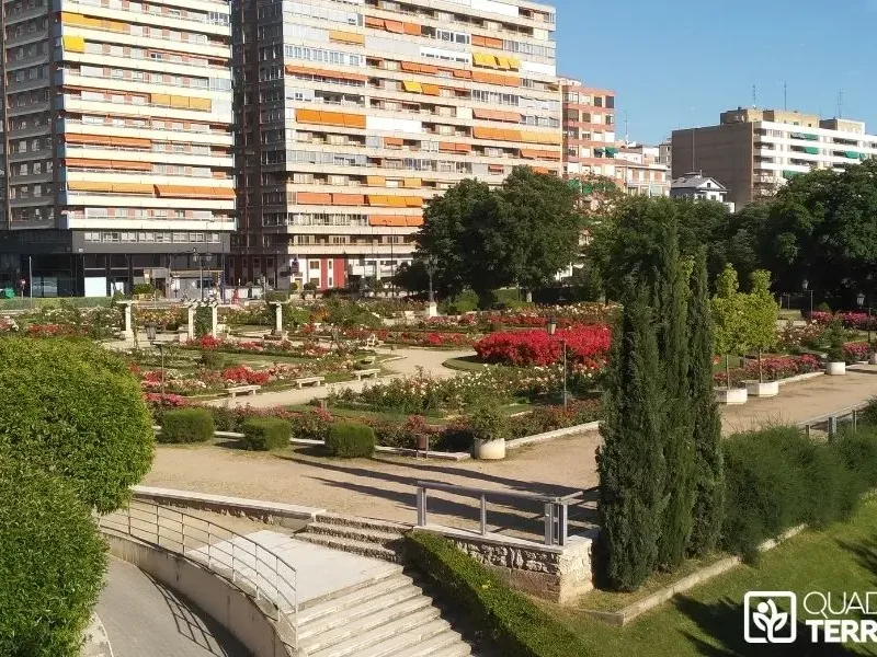 Entretien de jardin en copropriété : comment ça fonctionne et combien ça coûte ?