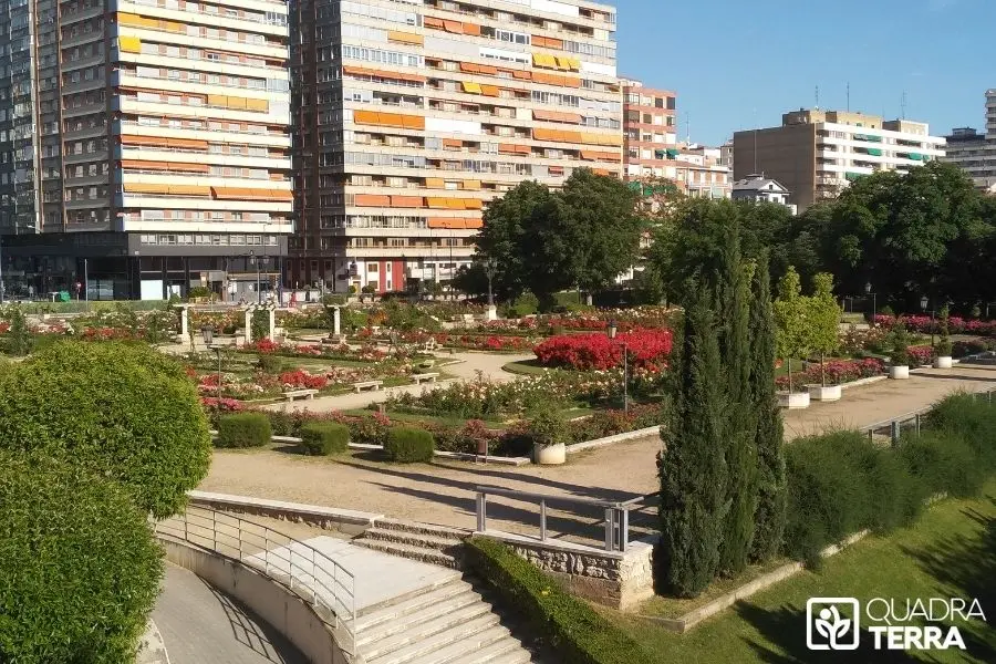 Entretien jardin copropriété