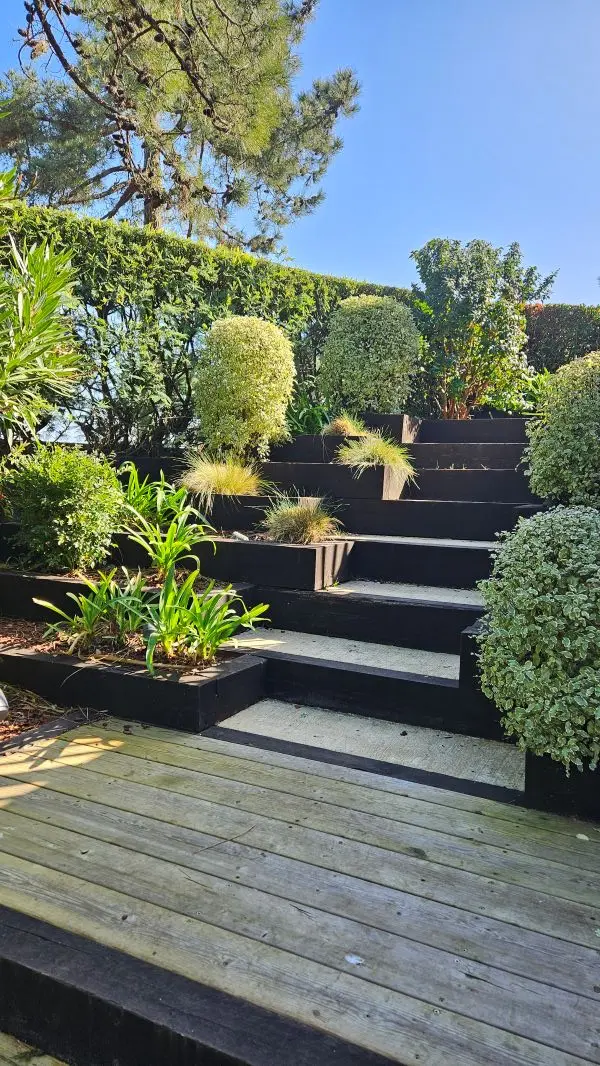 Prix taille de haies 92