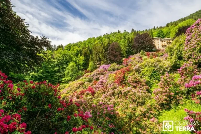 Prix débroussaillage