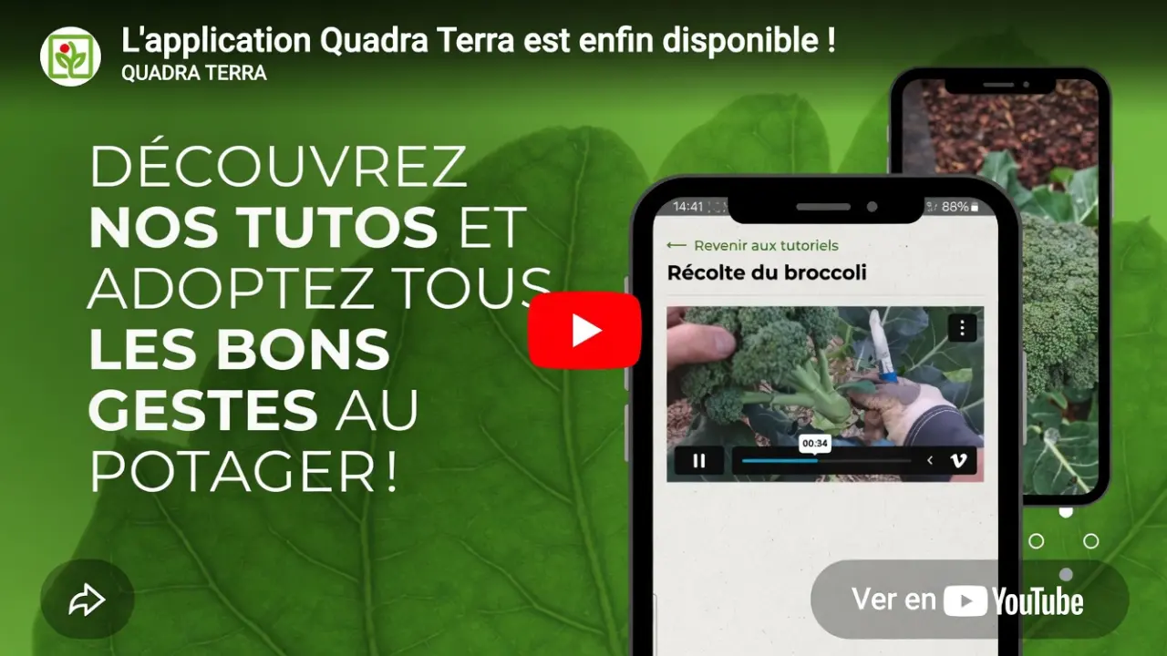 Thumbnail yt 1