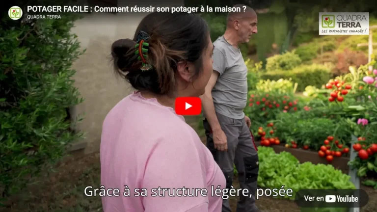 potager comment reussir son potager a la maison