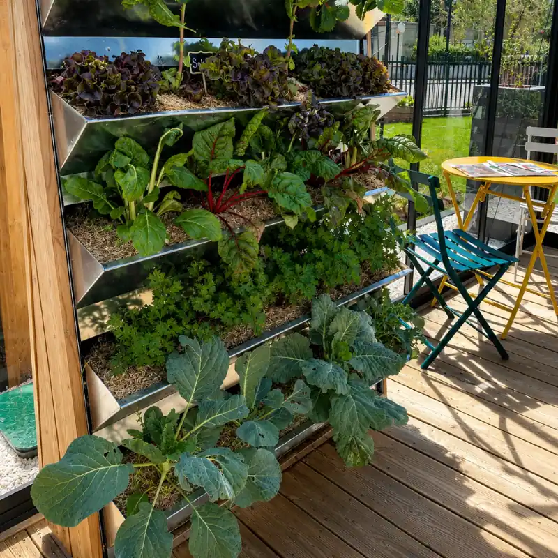 Création de potagers urbains chatillon