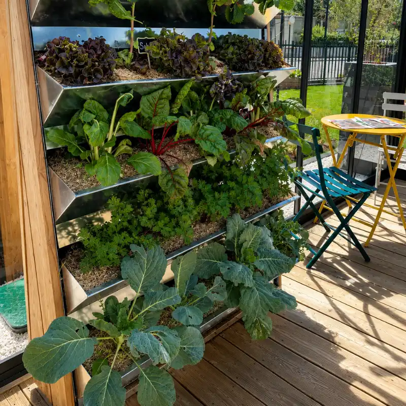Potager urbain surélevé aménagé dans un espace résidentiel à Bourg-la-Reine