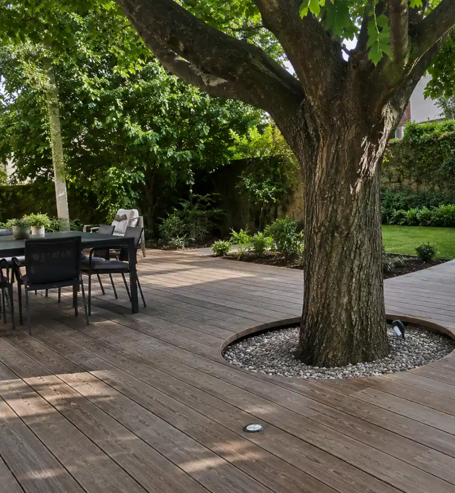 terrasse autour de l'arbre