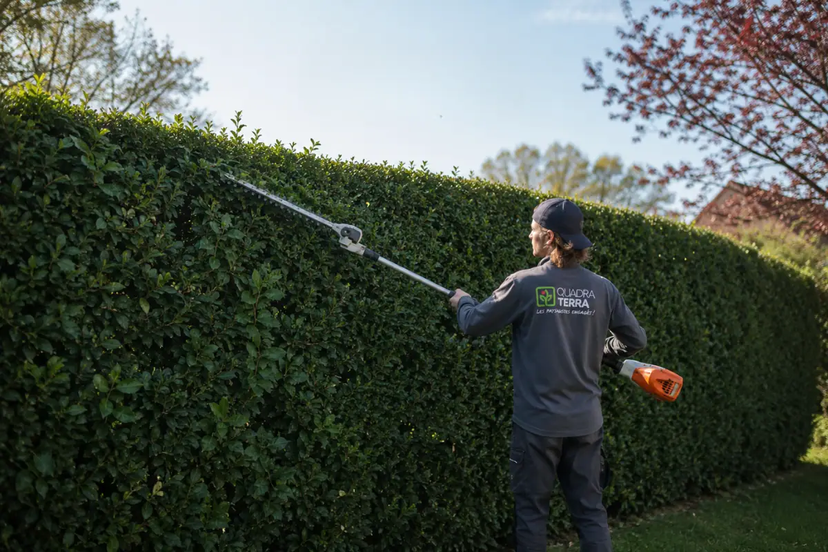 Prix taille de haie en Île-de-France
