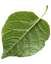 sierraverde12