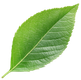 sierraverde13