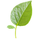 sierraverde14