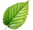 sierraverde16