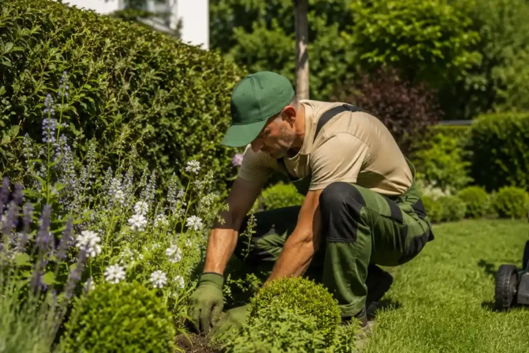 Service d’Entretien des Massifs dans le 92