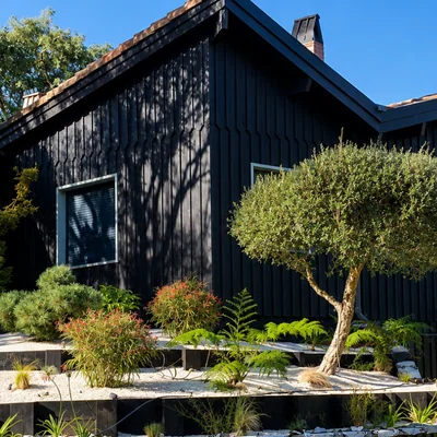jardin japonais et zen érables et minéral
