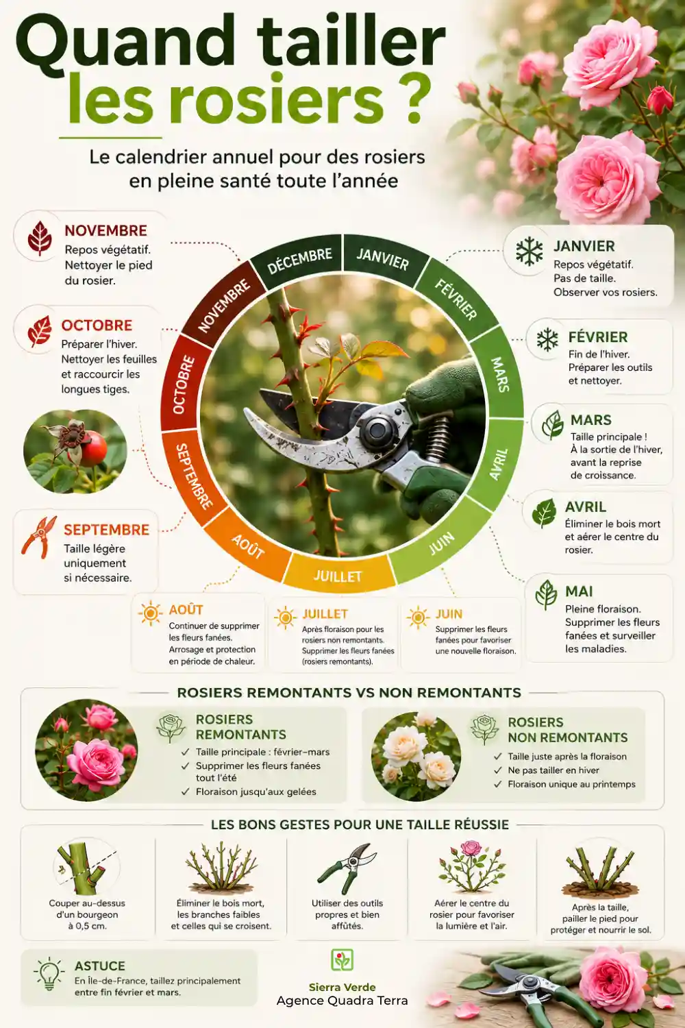 quand tailler les rosiers guide