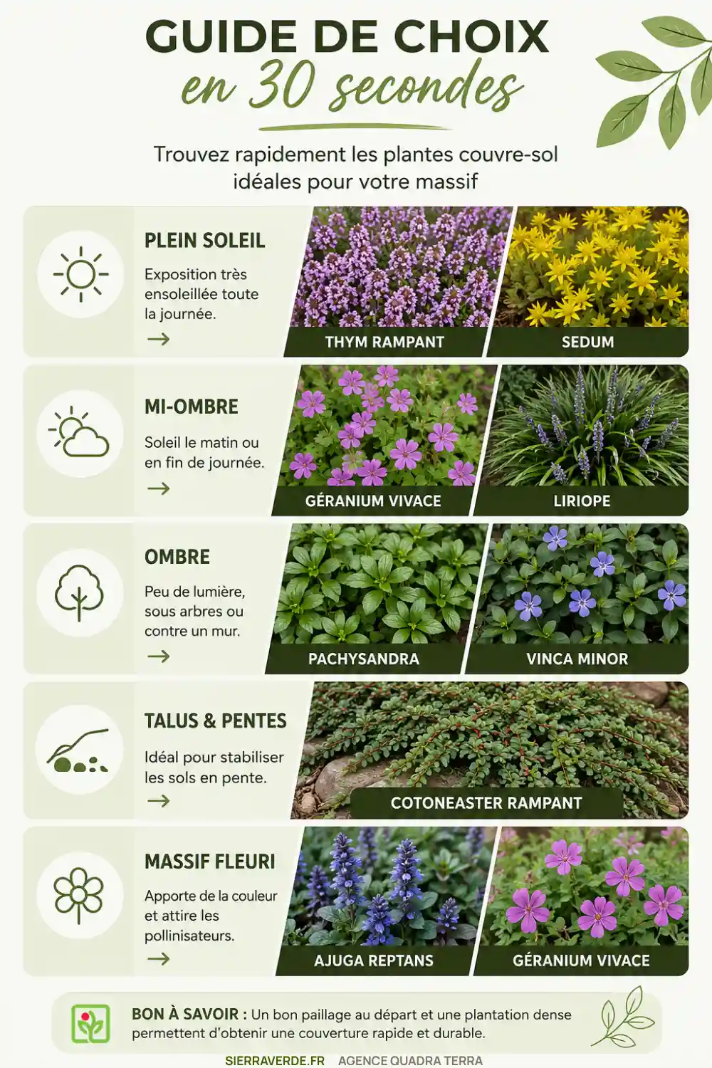 massifs couvre-sol guide