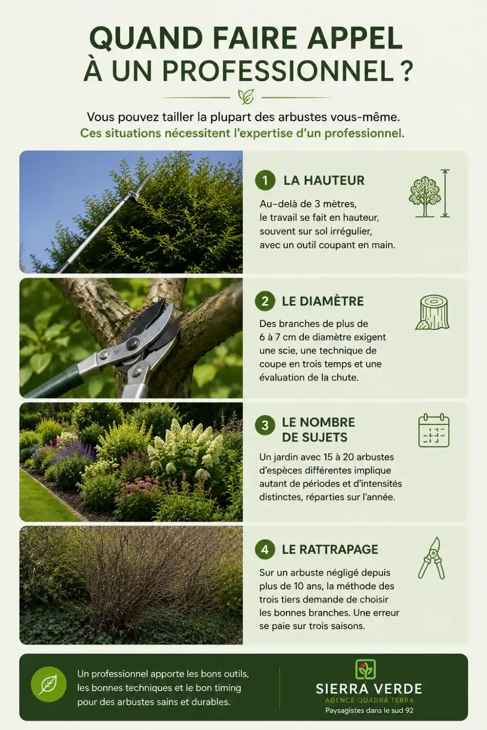 taille d’un arbuste de massif par jardinier paysagiste professionel