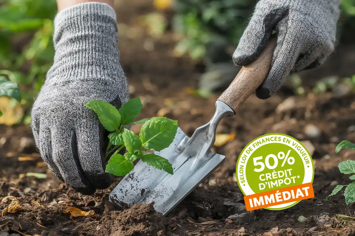 Crédit d'impôt jardinage : comment le déclarer sur sa déclaration de revenus