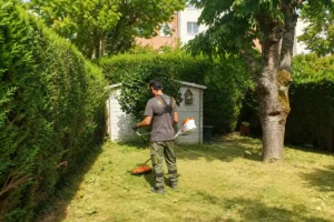 comment faire entretenir son jardin à distance