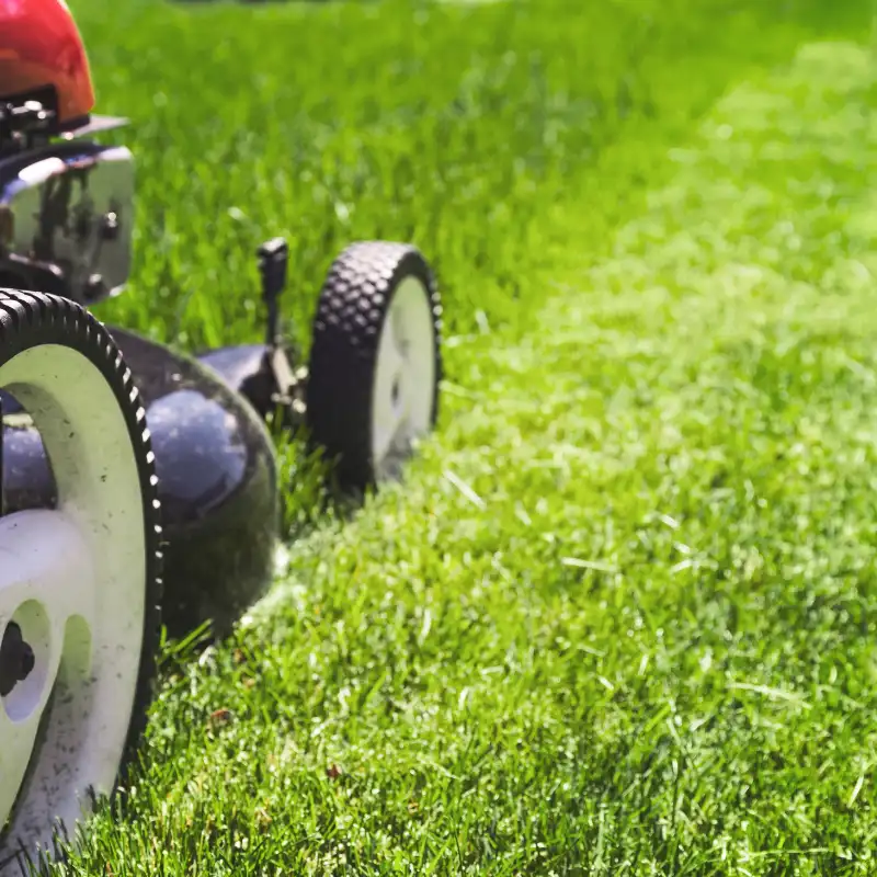 Réglage de la hauteur de coupe d'une tondeuse professionnelle